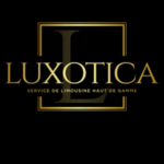 Luxotica chauffeur prive nice